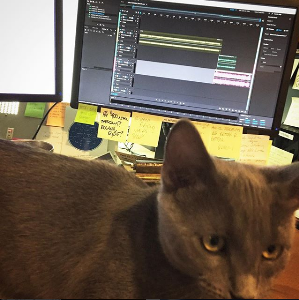 Kitten Edits Podcast!