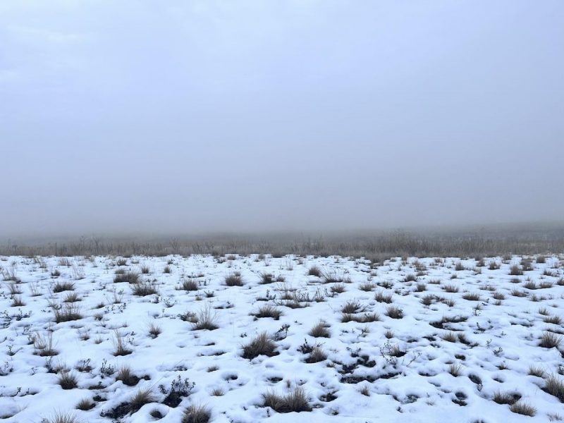 Patches of vegetation poke out from snow covered earth in the foreground. An inversion dominates the background. 📷 Marc Moss