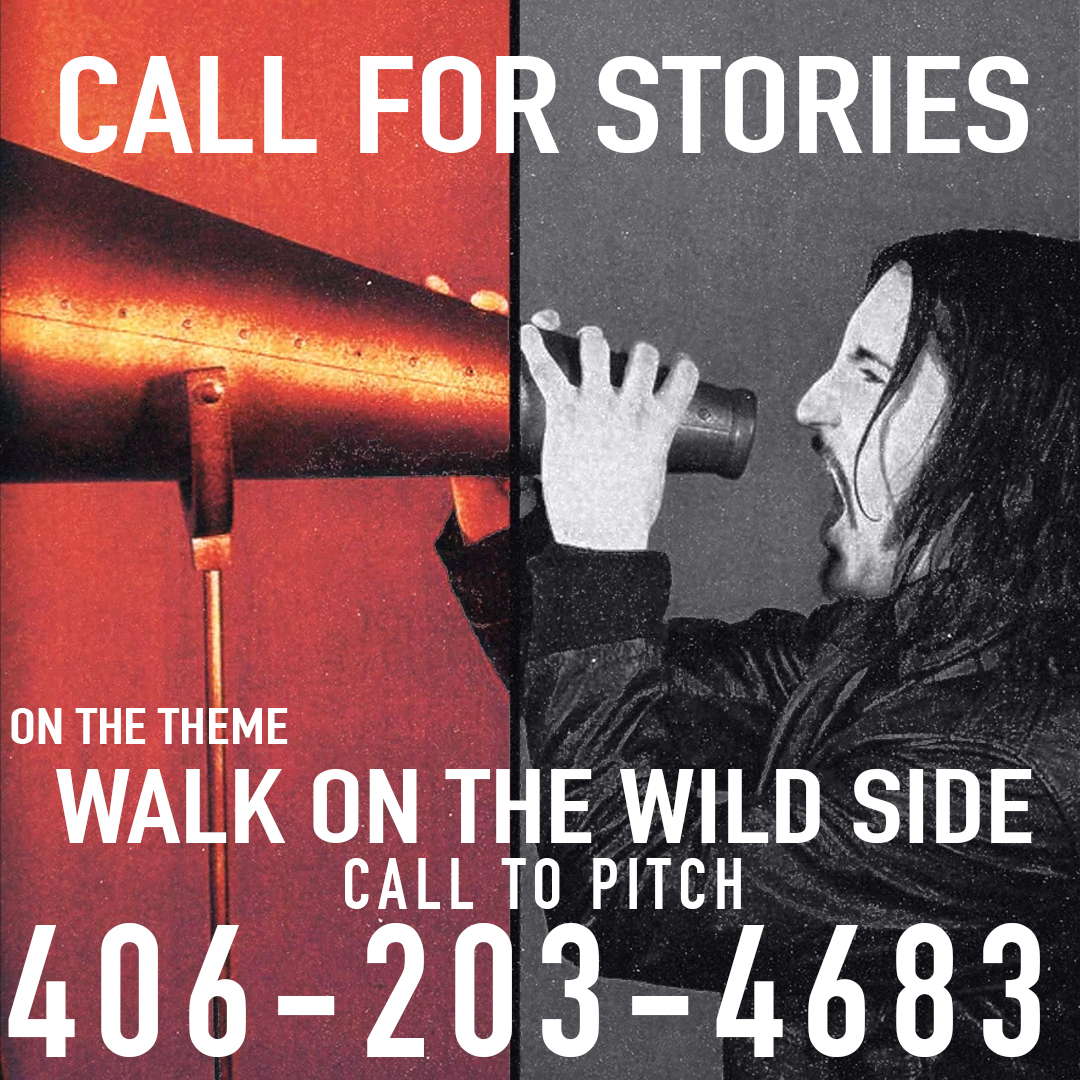 The image features a man holding a megaphone against a striking red and black background. It appears to be promoting a call for stories themed "Walk on the Wild Side." Interested individuals can pitch their ideas by calling the provided number, 406-203-4683. The tags associated with the image include elements such as text, human face, and references to storytelling and performance.